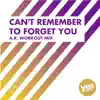 Level Eleven - Can't Remember to Forget You (A.R. Workout Mix) - Single